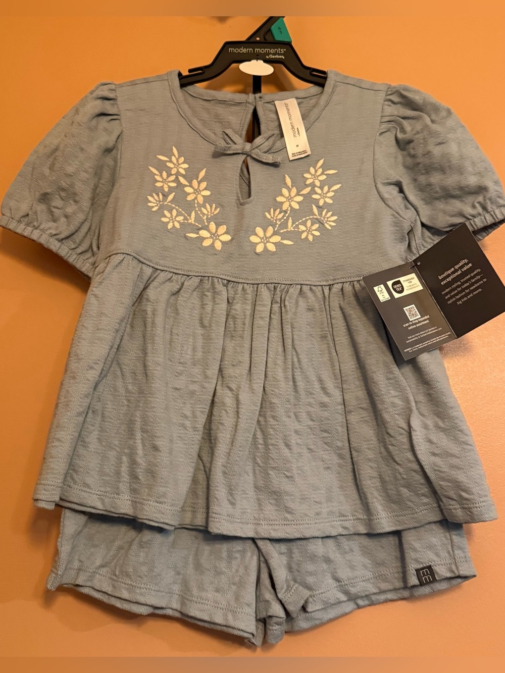 Modern Moments Gerber Toddler Girls 5T Floral Embroidered 2 Piece Outfit Set